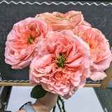 6 stem Mandarin Garden Rose Bouquet