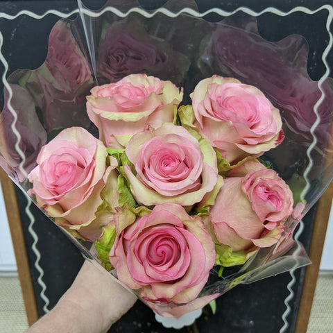 6 Stem Maggi Rose Bouquet