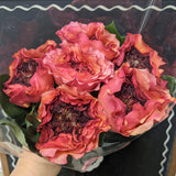6 stem Firecracker Garden Rose Bouquet