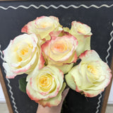 aubade rose bouquet