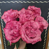 6 stem Country Blues Garden Rose Bouquet