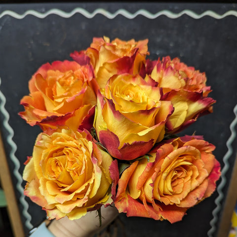 6 stem Fair Trade rose bouquet