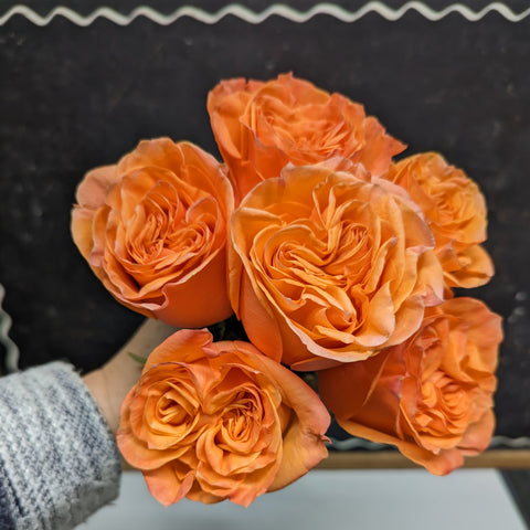 6 Stem Glam Garden Rose Bouquet