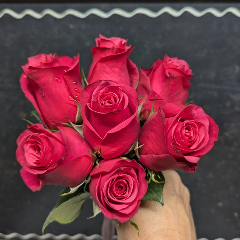 7 Stem Cherry O Rose Bouquet