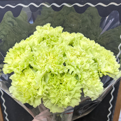12 stem green carnation Bouquet