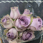 7 Stem Tiara Rose Bouquet