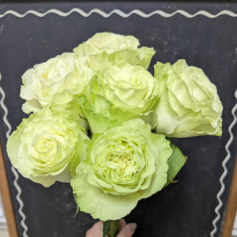 wasabi rose bouquet