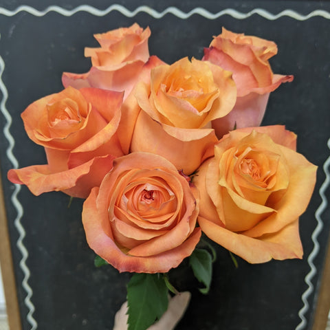 6 Stem Rose Bouquet